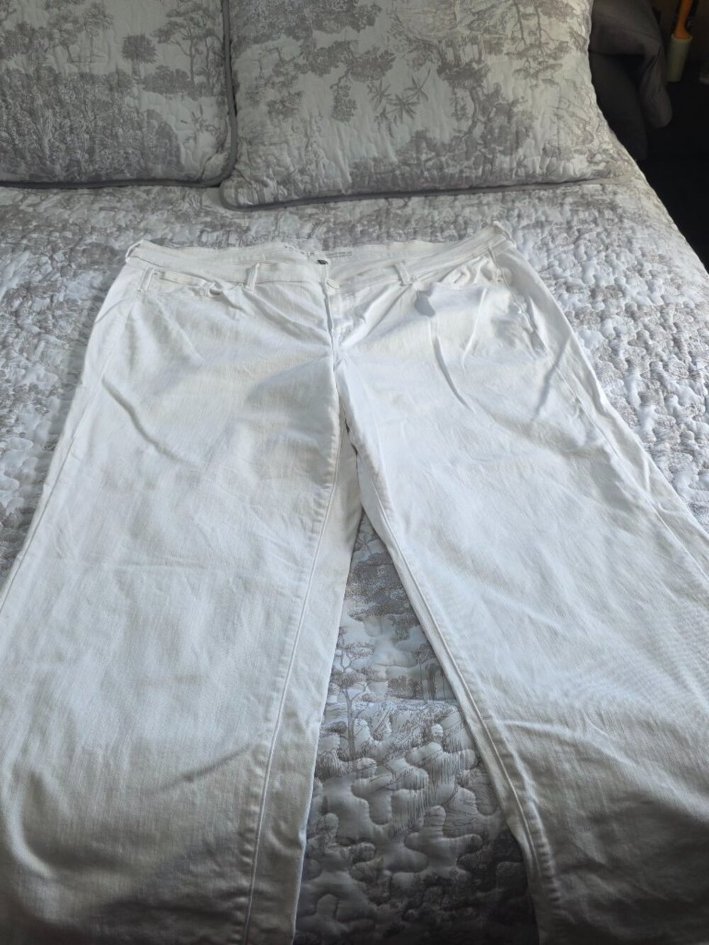Torrid Jeans